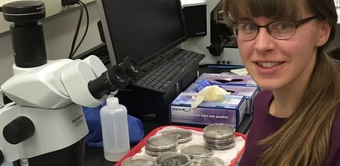 National Potato Council awards scholarship to Adrienne Gorny for nematode research