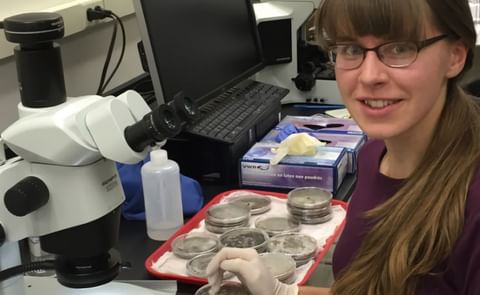 Adrienne Gorny, a fourth-year doctoral student in Plant Pathology and Plant-Microbe Biology at Cornell University, is the recipient of the 2017-2018 NPC Academic Scholarship. Adrienne Gorny, a fourth-year doctoral student in Plant Pathology and Plant-Microbe Biology at Cornell University, is the recipient of the 2017-2018 NPC Academic Scholarship.