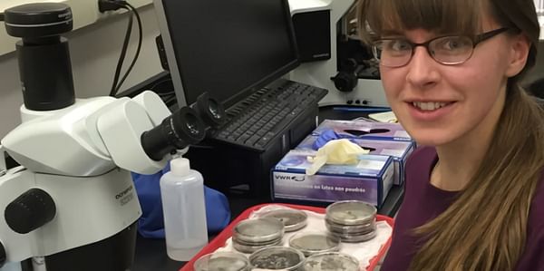 National Potato Council awards scholarship to Adrienne Gorny for nematode research