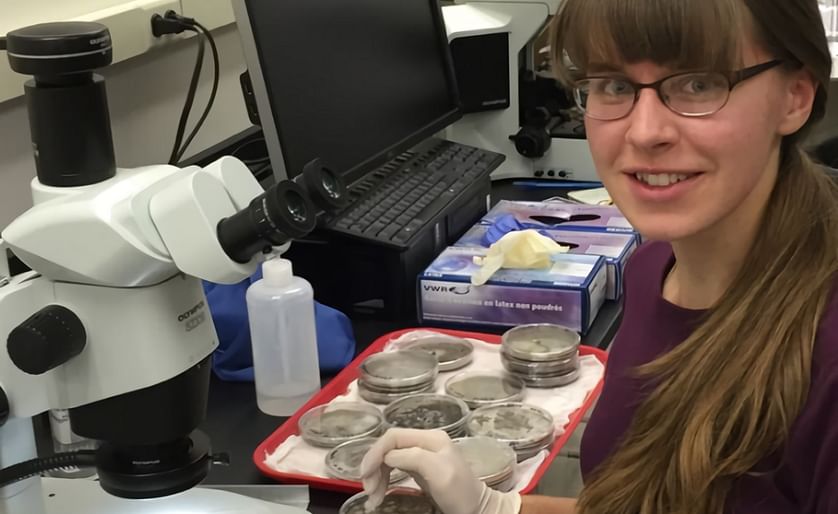 Adrienne Gorny, a fourth-year doctoral student in Plant Pathology and Plant-Microbe Biology at Cornell University, is the recipient of the 2017-2018 NPC Academic Scholarship.
