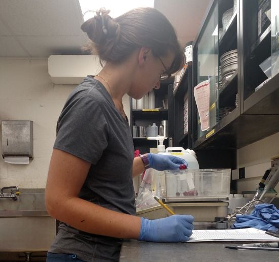 Adrienne Gorny working in the lab Adrienne Gorny working in the lab
