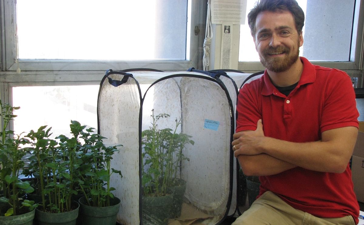 Justin Clements, a fifth year doctoral student in the Molecular and Environmental Toxicology Center working in the Department of Entomology at the University of Wisconsin-Madison, is the recipient of the 2016-2017 National Potato Council Academic Scholars