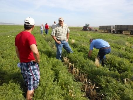During a tour of Threemile Canyon Farm in Boardman, Ore., Farm manager Greg Harris explained the need for a balanced approach to water use for irrigation in the Columbia Basin. In this carrot field, he discussed the need for crop rotation to reduce soil-borne pests.
