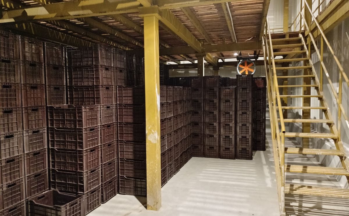 Natural Storage Solutions Pvt. Ltd (NSSPL) - Modified Atmosphere Cold ...