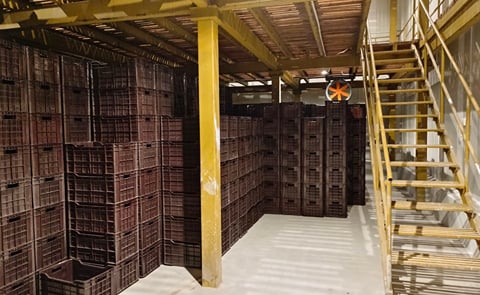 Natural Storage Solutions Pvt. Ltd (NSSPL) - Modified Atmosphere Cold Storage Natural Storage Solutions Pvt. Ltd (NSSPL) - Modified Atmosphere Cold Storage