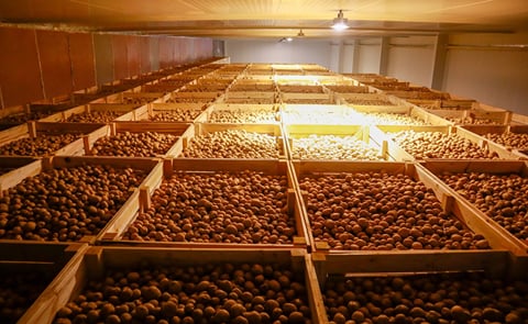 Natural Storage Solutions Pvt. Ltd (NSSPL) - Bulk and Box Cold Storage Solutions Natural Storage Solutions Pvt. Ltd (NSSPL) - Bulk and Box Cold Storage Solutions