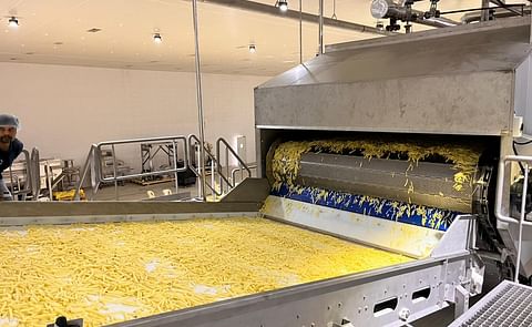 Natural Storage Solutions Pvt. Ltd (NSSPL) - Small Scale French Fry Lines Natural Storage Solutions Pvt. Ltd (NSSPL) - Small Scale French Fry Lines