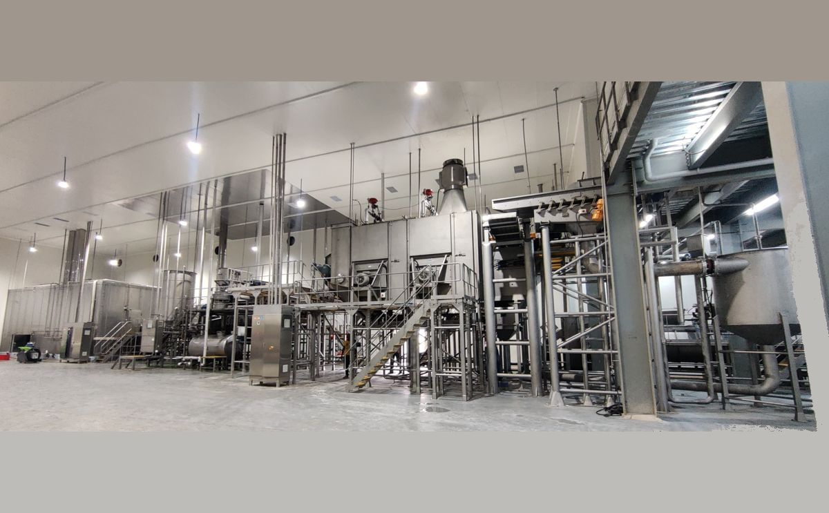 Not all French fries unhealthy Not all French fries unhealthy