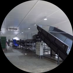 Frozen Vegetables and Fruits Processing Line