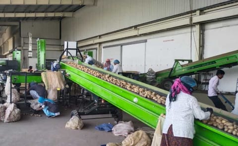 Natural Storage Solutions Pvt. Ltd (NSSPL) - Potato Handling Equipment Natural Storage Solutions Pvt. Ltd (NSSPL) - Potato Handling Equipment