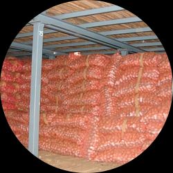 Temperature Controlled Cold Storage