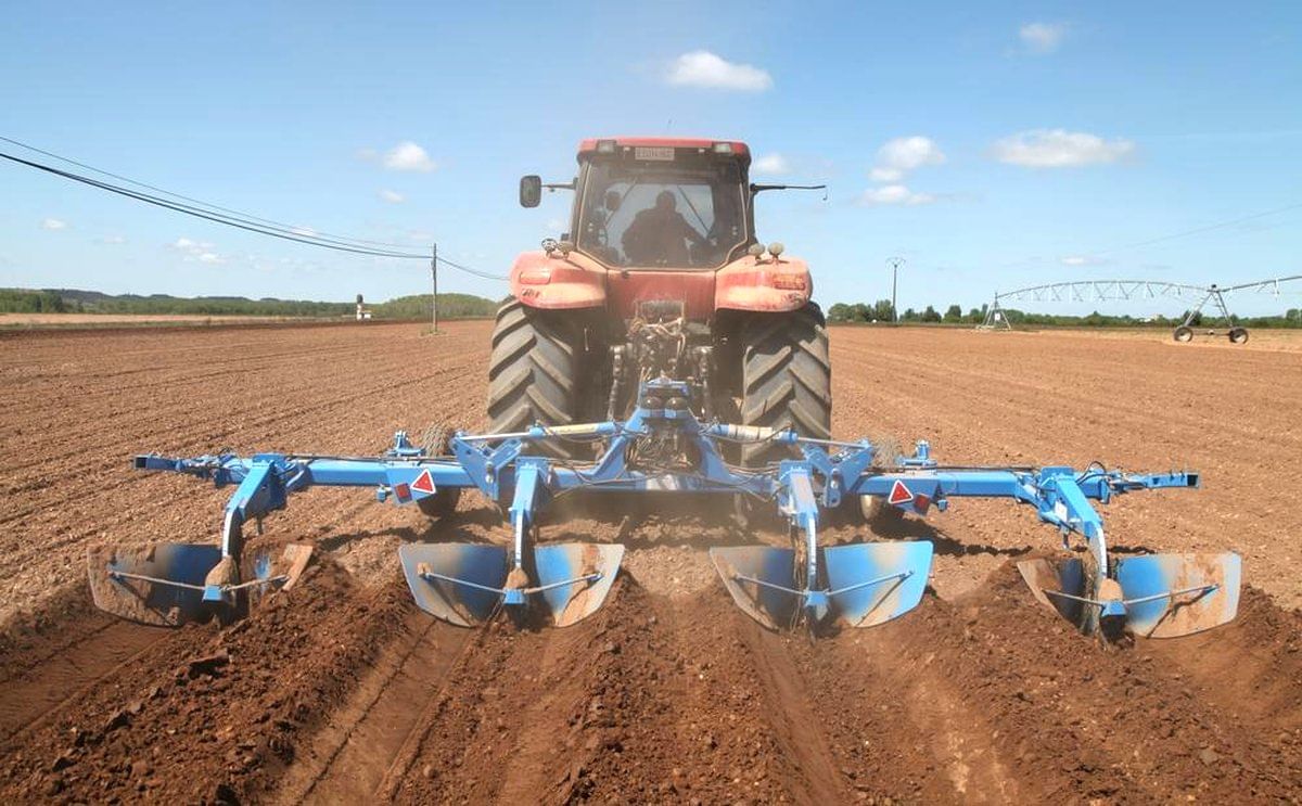 Tecnología de última generación para el cultivo de patata en España.