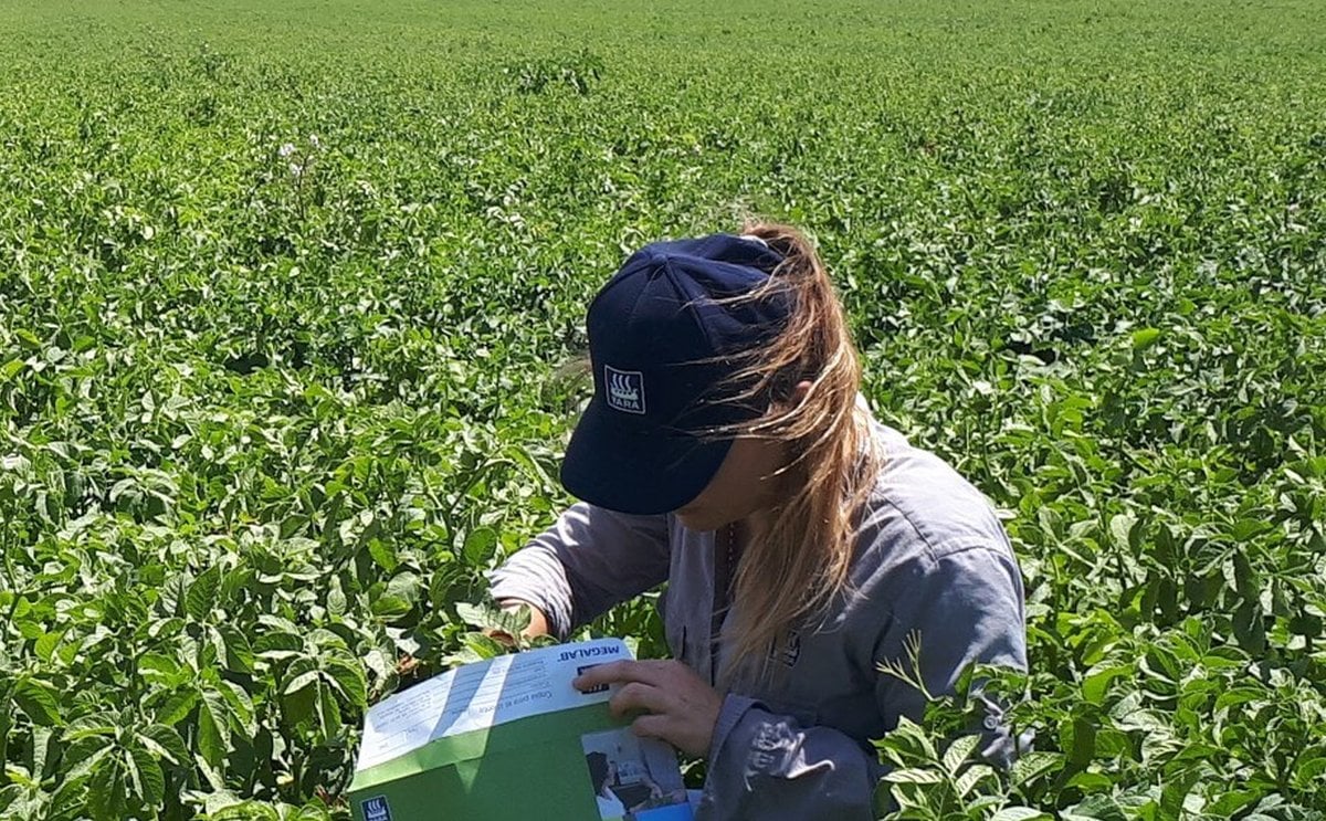 Argentina: Yara Presentó un Programa Integral Que Permite Una Mayor Rentabilidad Para El Productor de Papa Argentina: Yara Presentó un Programa Integral Que Permite Una Mayor Rentabilidad Para El Productor de Papa