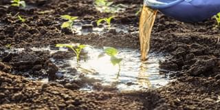 Nutrient Suppliment Nutrient Suppliment