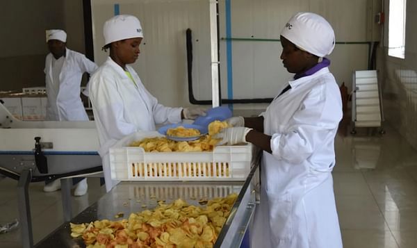 Government Rwanda plans privatisation of Nyabihu Potato Processing Plant