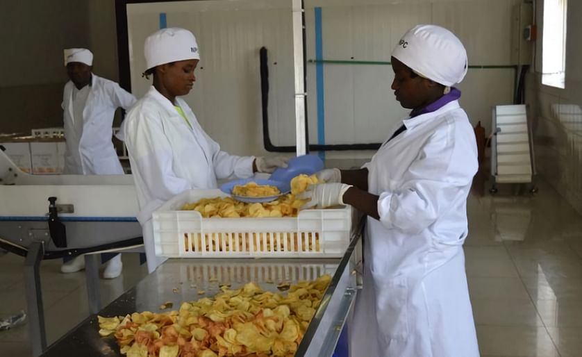 Workers at the Nyabihu potato processing factory sort chips before packaging (Courtesy: The New Times)