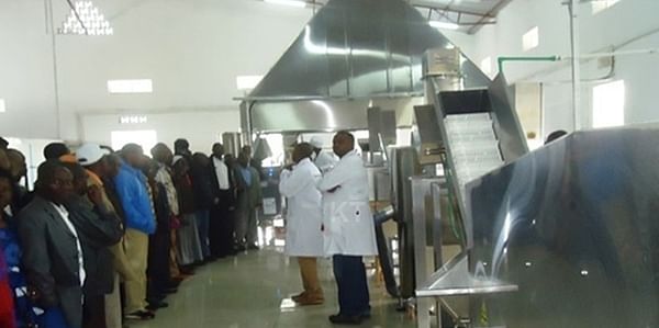 Potato Processing Plant Rwanda not buying potatoes, say Nyabihu farmers