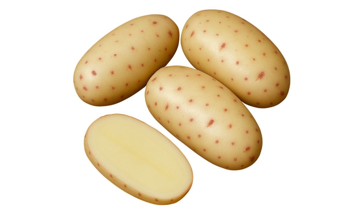 NYOTA
