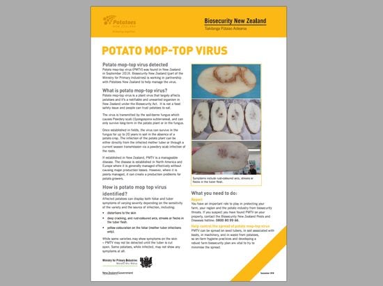 Click to access Potato Mop-Top virus factsheetCourtesy: Biosecurity New Zealand, September 2018) Click to access Potato Mop-Top virus factsheetCourtesy: Biosecurity New Zealand, September 2018)