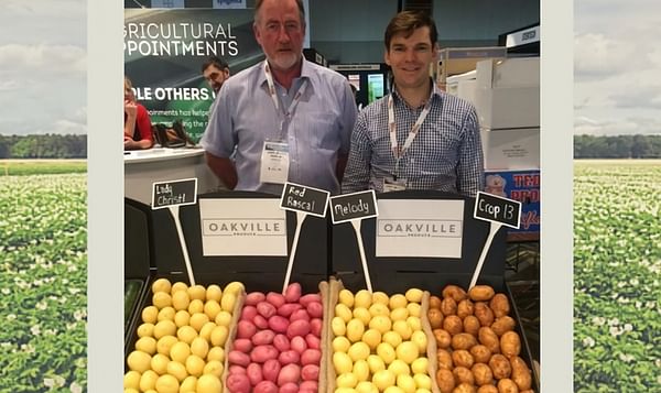 How could a company with 23 per cent of Australia&#039;s AU$625 million potato market go bust?
