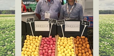 Australian Potato Growers at risk from Oakville Produce financial troubles