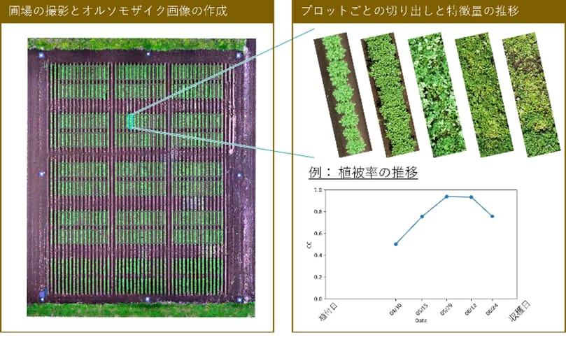 observation of potato fields using drone images Using RGB and multispectral images from drones, growth indicators such as vegetation rate, community height, and vegetation index were obtained at the field scale. observation of potato fields using drone images Using RGB and multispectral images from drones, growth indicators such as vegetation rate, community height, and vegetation index were obtained at the field scale.