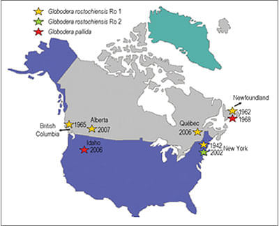 Distribution of potato cyst nematodes Globodera rostochiensis and G. pallida, in North America