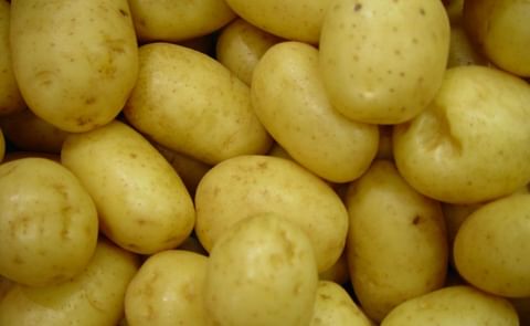 October – December retail potato sales in the US show continued growth October – December retail potato sales in the US show continued growth
