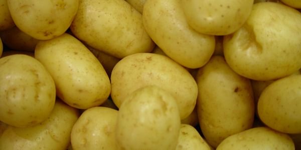 October – December retail potato sales in the US show continued growth