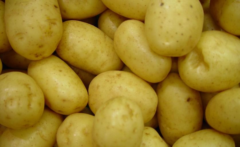 October – December retail potato sales in the US show continued growth