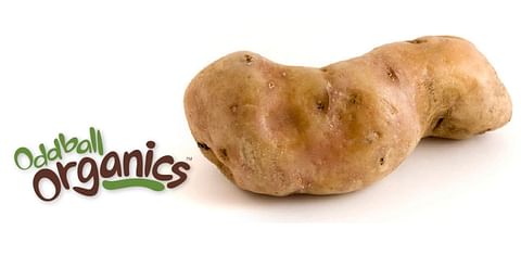 RPE: Organic Potato Program continues to expand