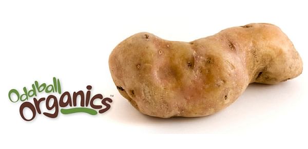 RPE: Organic Potato Program continues to expand
