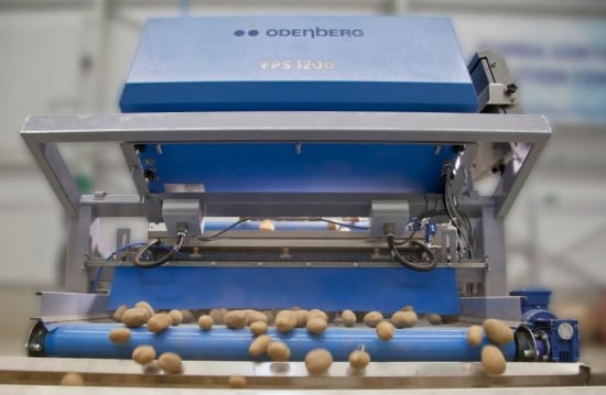 TOMRA Field Potato Sorter in action