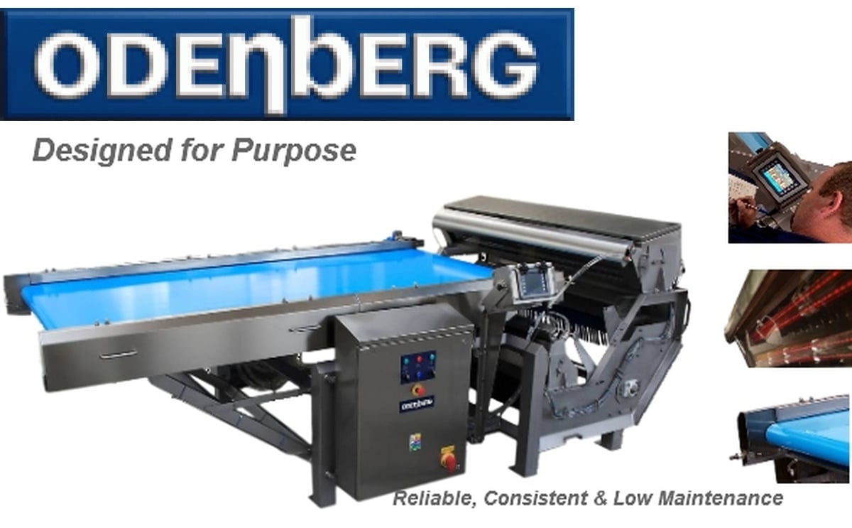 Odenberg introduces Sentinel Optical Sorter Line Odenberg introduces Sentinel Optical Sorter Line