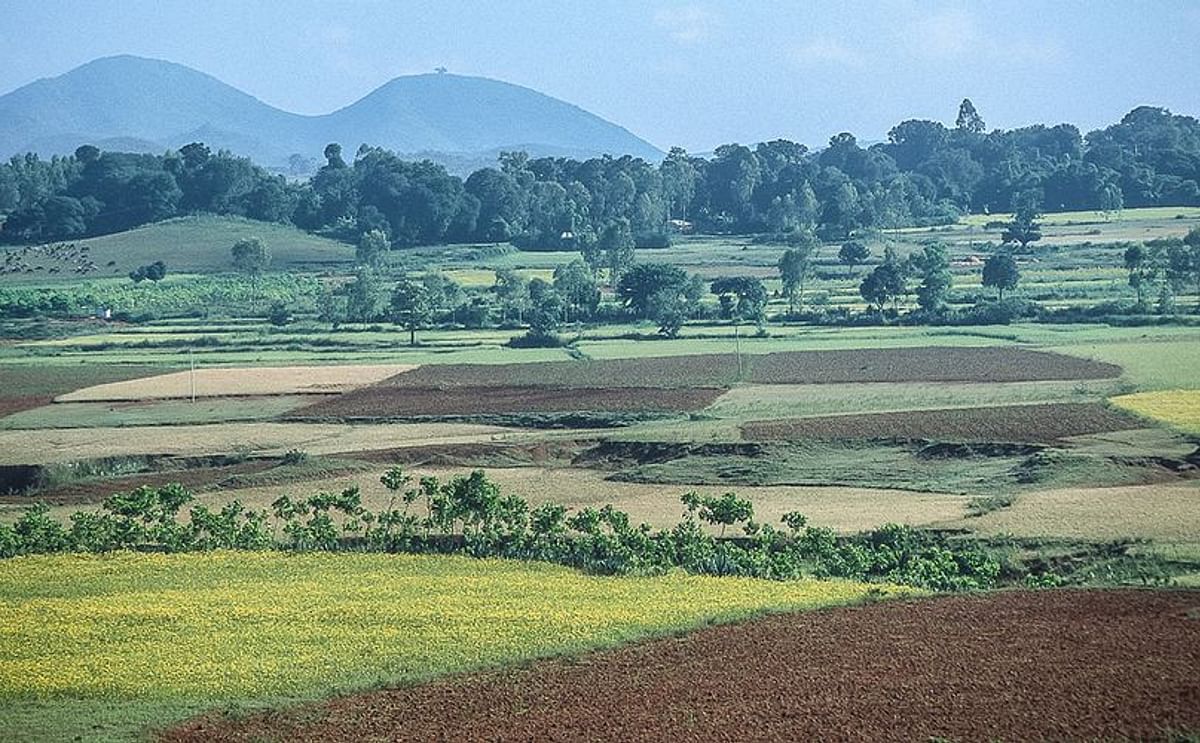 Impression of agriculture in the Koraput district in Odisha, India