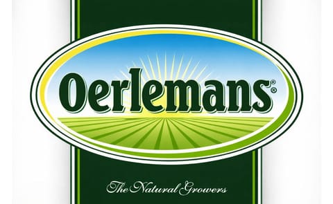 French Fry manufacturer Oerlemans Foods to be sold to Baltussen Holding French Fry manufacturer Oerlemans Foods to be sold to Baltussen Holding