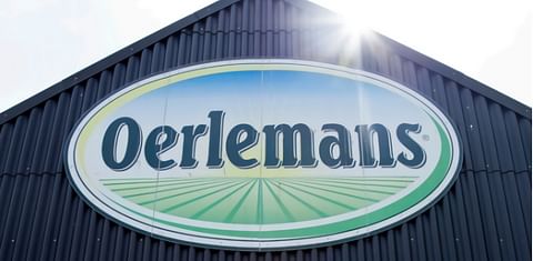 Oerlemans Foods doubles Potato Processing Capacity