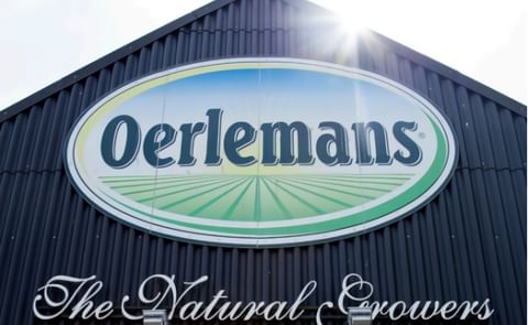 Oerlemans Foods doubles Potato Processing Capacity Oerlemans Foods doubles Potato Processing Capacity