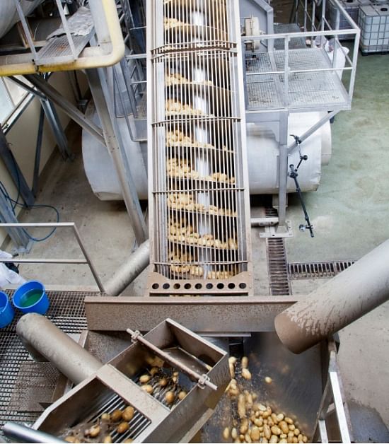 Steampeeler infeed Steampeeler infeed