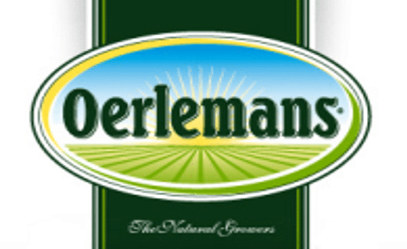 French Fry manufacturer Oerlemans Foods to be sold to Baltussen Holding
