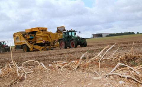 French potato producers describe the 2022 campaign as 'catastrophic'. French potato producers describe the 2022 campaign as 'catastrophic'.