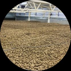 Bulk storage systems