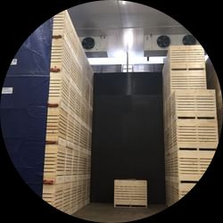 Suction ventilation systems