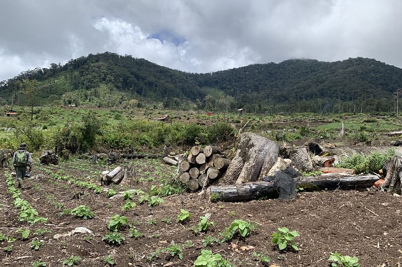 One of the agricultural fields next to Kerinci. Courtesy: Teguh Suprayitno for Mongabay Indonesia.
