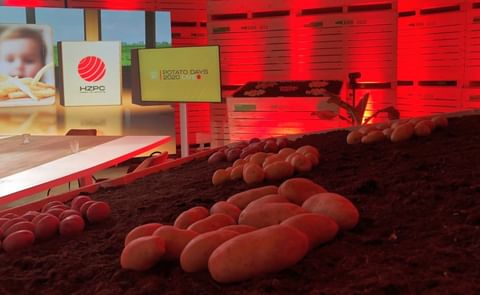 Online Potato Days HZPC showcase new reality
Online Potato Days HZPC showcase new reality
