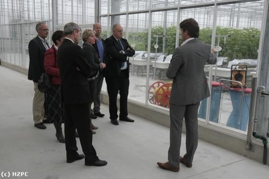 Rondleiding door het nieuwe HZPC kassencomplex Rondleiding door het nieuwe HZPC kassencomplex