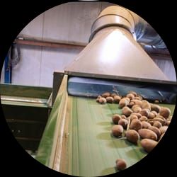 Optical Potato Sorter Optica CS