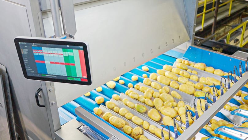 An AI-powered optical sorter on Eagle Eye Produce’s newly rebuilt yellow potato line captures 7–9 images of each potato to improve sizing, consistency, and quality control. An AI-powered optical sorter on Eagle Eye Produce’s newly rebuilt yellow potato line captures 7–9 images of each potato to improve sizing, consistency, and quality control.