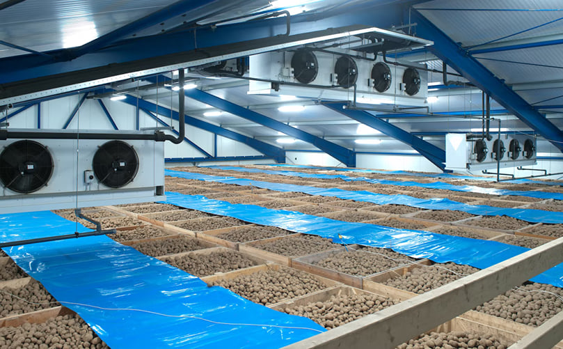 Optimum potato storage with the right climate Optimum potato storage with the right climate