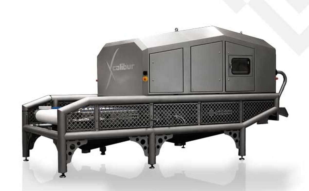 Optiserve's allround Xcalibur optical sorter